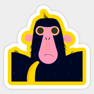 Curious Ape Sticker